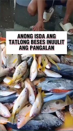 Finding Coin on Reels