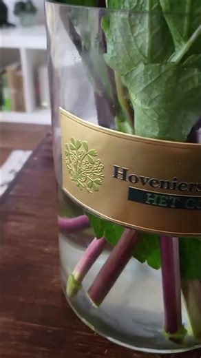 Premium Metal QR Labels for Business Branding