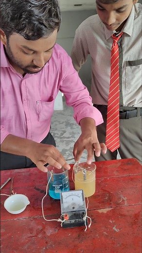 Working Daniell cell.