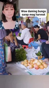 Harvesting pomegranate goes to the market to sell | Mijoreen Velandria