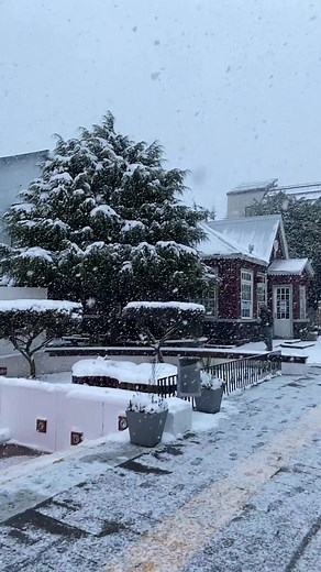 Ahora Ushuaia, ¿que te parece? El Sur del País te Espera para Disfrutar Este Invierno 2023 ¡Conocé Todas las Actividades! VISITAR USHUAIA EN INVIERNO El invierno en Ushuaia es el momento para disfrutar a pleno de la nieve en Patagonia en familia. Los valles fueguinos nevados serán la postal perfecta para los amantes de la nieve. Aquellos que llegan a Ushuaia buscando esquiar lo podrán hacer en el Cerro Castor, el centro de esquí más austral del mundo. En los valles fueguinos existe la posibilida