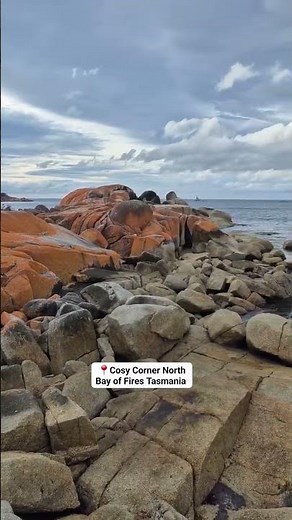 Bay of Fires Tasmania 🇦🇺 #passynby #tasmania #australia #travel #beach
