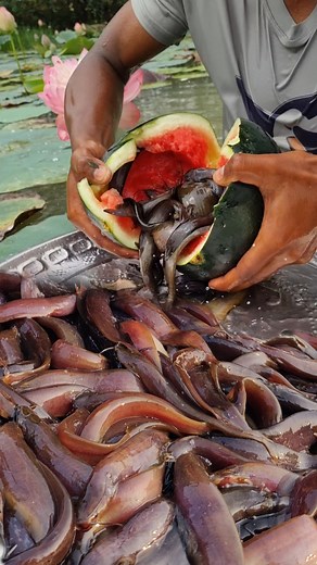 Unbelievable technique Watermelon trap fishing #fish #trap #fishing #video #reels | Only Fishing