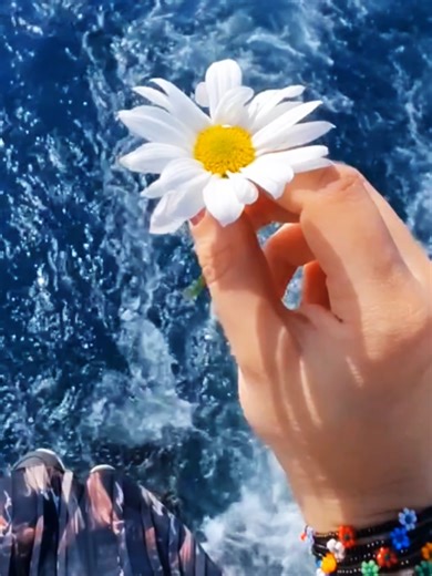 Top Romantic Hindi Songs for TikTok Lovers