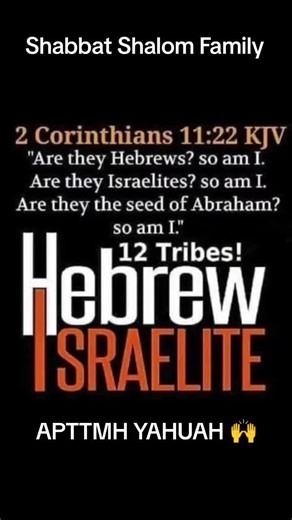 KINGDOM WORK 👑👑 (@je_yahudah)’s video of shalom