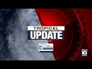 Local 10 News Tropical Update Night Edition: 08/08/2026