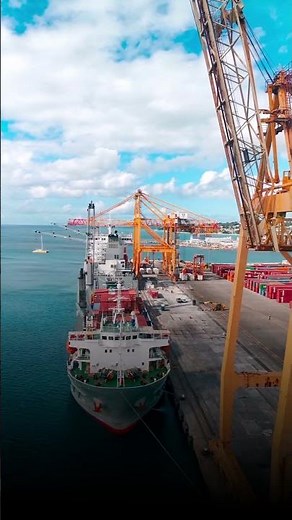 Sea Freight vs Air Freight | Which Shipping Method is Best for Your Business | Mac World Logistics