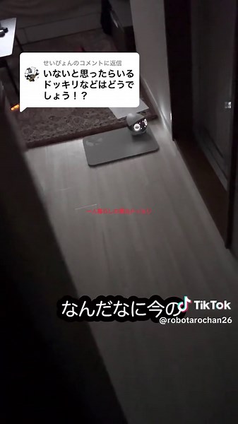 実家から遠隔操作されたロボとーちゃん