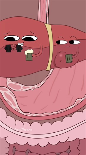 Understanding Detox Drinks and Fat Loss Myths