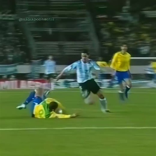 Durante décadas se dijo que el odio entre Argentina y Brasil era cosa del fútbol; la realidad es que el odio entre Argentina y Brasil es la materialización del eterno desprecio entre naciones de colonos y naciones de víctimas.El antepasado del argentino es conquistador, el antepasado del brasileño fue subido a la fuerza a un barco por tribus vecinas, lo cual es un hecho lamentable de la historia, sin dudas, pero marcó el imaginario colectivo del brasileño como víctima; el criollo, detesta el vic