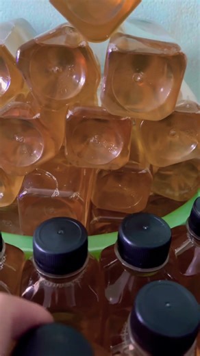 Làm chai Rau Má Đồi nấu đường phèn cho mát gan k 🥰