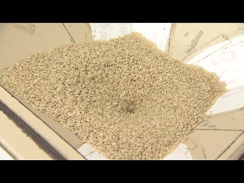 "Rice trivia" The way rice is polished by a rice polisher affects its taste and nutritional value...