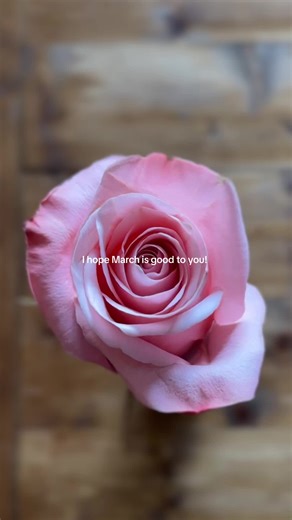 Inspiring March Quotes to Welcome the New Month