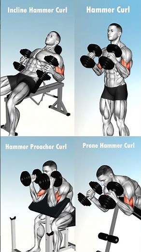 Best Hammer Curl Variations with Dumbbell 💪🔥