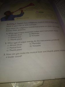 Activity 2 Explain how indigenous musical instruments workWork... | Filo