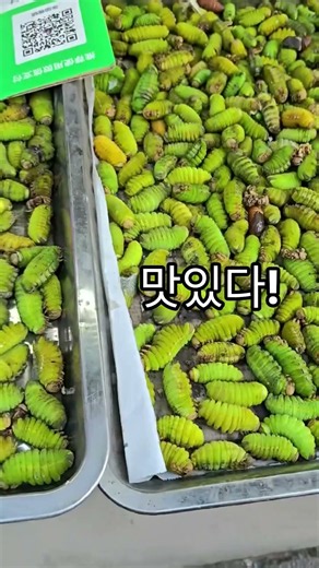 맛있다!#링링중국어공간 #伶伶小姐姐在韩国#linglingchinesespase