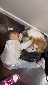178K views · 4.7K reactions | Baby Telling His Doggie Goodbye Has To...