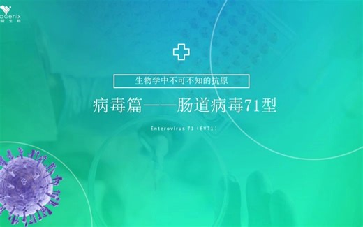 生物学中不可不知的抗原——肠道病毒71型