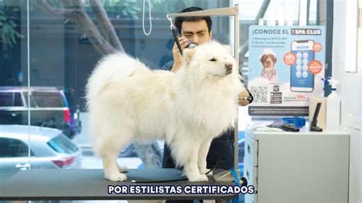 Petco Grooming Salon