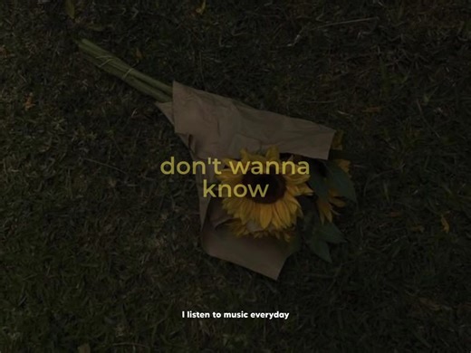 We Don't Talk Anymore, Charlie Puth ft. Selena Gomez | I listen to music everyday