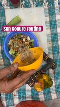 sun conure routine #sunconure #lucknow