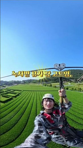 제주에서 이색 액티비티 찾으면 여기✨