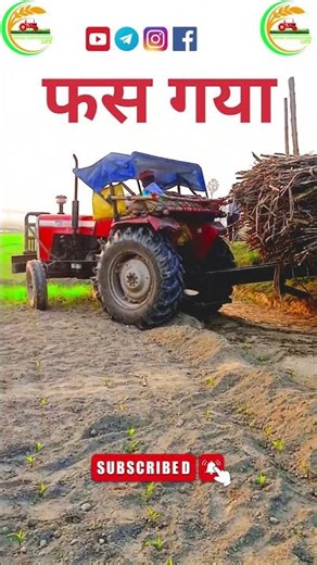 फस गया #viralvideos #shorts #trending #viral #instagramreels #reelsinstagram #reels #ytbuddies #tren