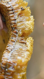 66K views · 382 reactions | Honey is known for its health benefits...