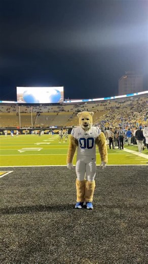 somebody play my fight song 😼 | Cosmo the Cougar