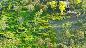 The 2023 #Shanghai Iris Cultural Festival has kicked off. The colorful blossoms are swaying in parks across #Pudong New Area. These areas include the Jinxiu Cultural Park, Expo Culture Park, and Zhang Heng Park. #FunPudong [Video provided by Shanghai Expo Culture Park] | Pudong China