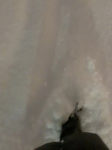 Anne Curtis on Reels