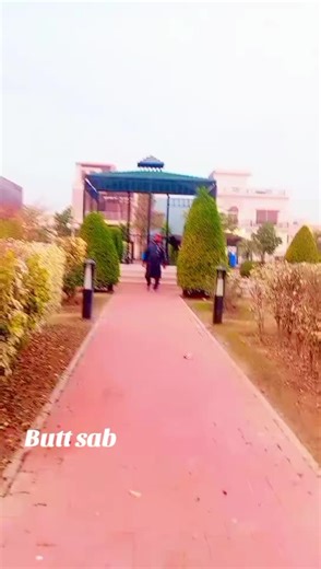 Muhammad Azan (@muhammad.azan845)’s videos with original sound - Zeeshan Rokhri