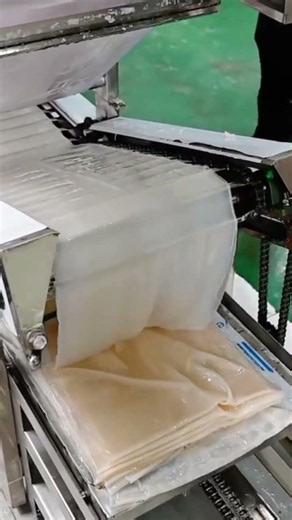Watching How an Automatic Spring Roll Wrapper Machine Works!