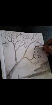 Tree and boat by the river.