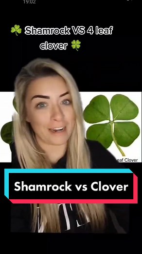 Shamrock vs. Clover: What's the Difference?