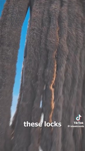 1M views · 2.4K reactions | Here's how you grow Dreadlocks 樂 #knowledge #facts #trend | Gothacked | Facebook