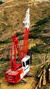 @madillequipment : A Legacy Rebuilt, A Future Secured 🌲💪 We sat down with Dale Ewers, owner of DC Equipment/Madill, for an exclusive interview on how his People First philosophy has driven the resurgence of this legendary brand. Hear his insights on innovation, the future of logging, and what makes Madill equipment stronger than ever. Watch the full video on our YouTube channel, and make sure to subscribe for more videos like this 🌲 Link in Bio. #forestry #forestryequipment #madill #madillequ