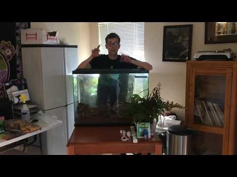 How to setup a Ball Python BioActive Terrarium. Self-Cleaning Self-Maintaining