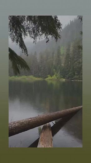 Ali Algohary Algohary on Reels