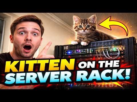 My Home Lab Server Rack Tour… Then My Kitten Did This