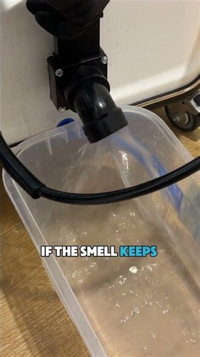 Why Your Carpet Still Smells