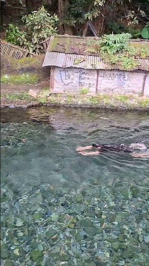 the sensation of swimming in a spring #waterspring #shortvideo