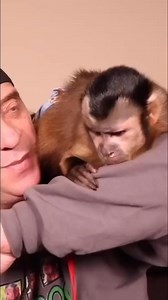 MonkeyHappy loves baby carrots #monkey #snacktime #cute #capuchin | MonkeyBoo