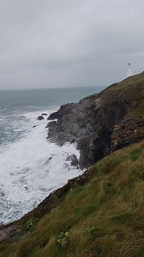 Wet day but to beautiful for words! Lovely long walk from Constantine Bay to Trevose Head and around to Mother Ivey. | The Cornish Bird
