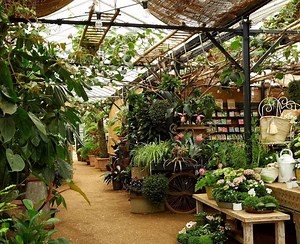 This Gorgeous Garden Centre Is Perfect For A Sunny Day Out