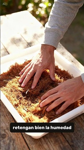 🌱 Grow Watercress Easily and Quickly at Home #agriculture #planting #cultivation