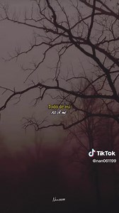 Evanescence 'My Immortal' Lyrics Video
