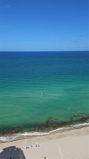 Mar Desde las Alturas 🌊 Calma Tu Mente