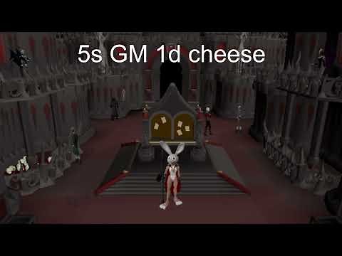 Advanced ToB Gear Guide