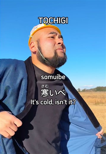 Tochigi Dialect: Key Phrases to Learn